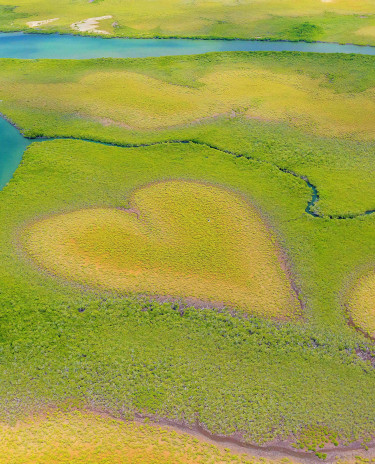 Coeur de Voh 